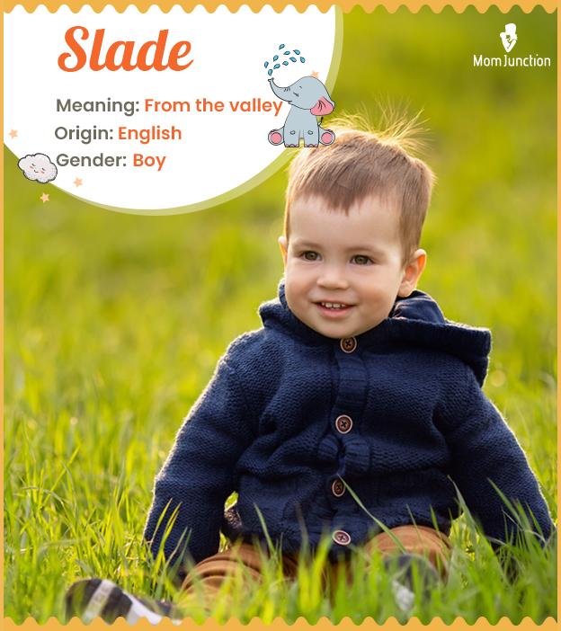 Slade Baby Name Meaning, Origin, Popularity, & More MomJunction