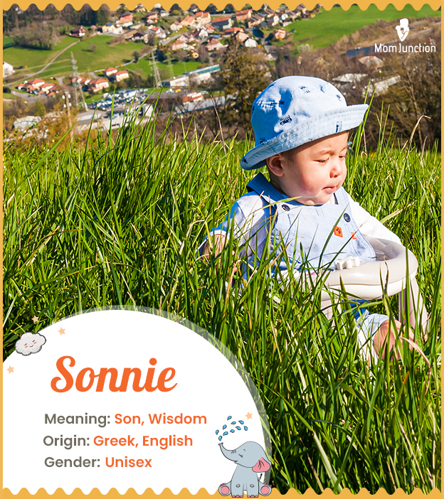Sonnie, the most wisdomous child