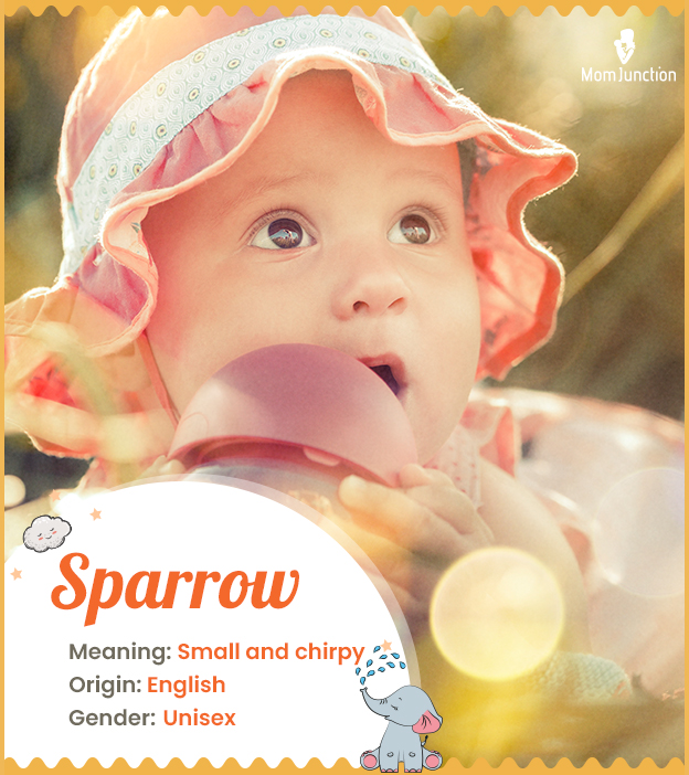Sparrow, means small and chirpy.