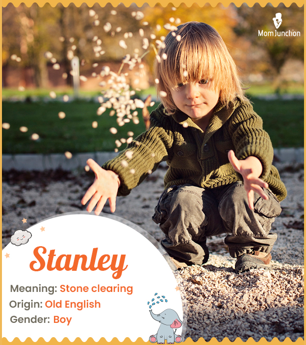 Stanley, stone clearing