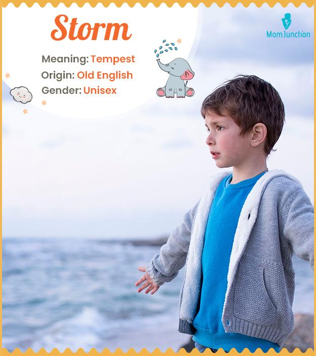 storm Name Meaning, Origin, History, And Popularity
