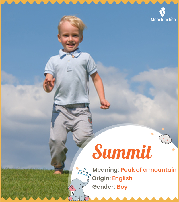Summit, means a highest point of a mountain or a hill.
