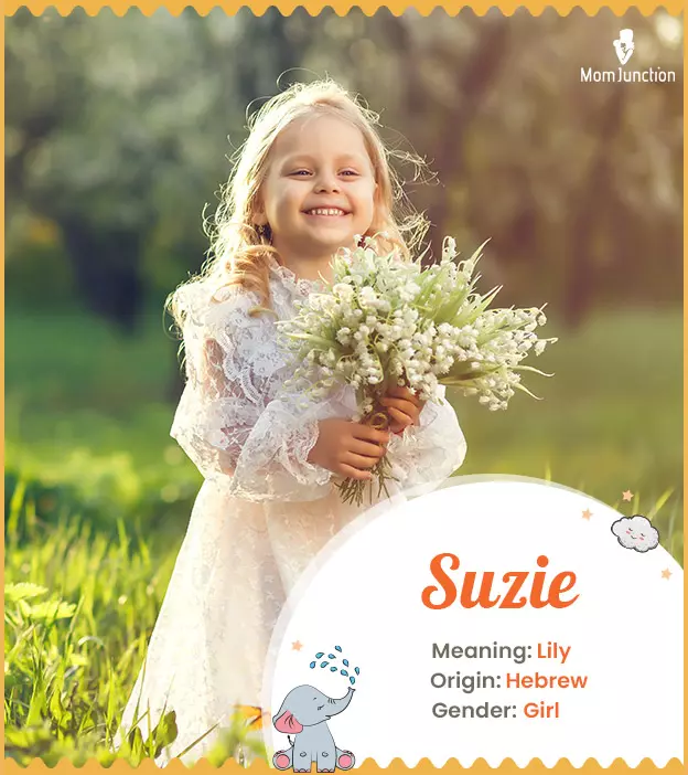 Susie - Name Meaning Origin And Popularity