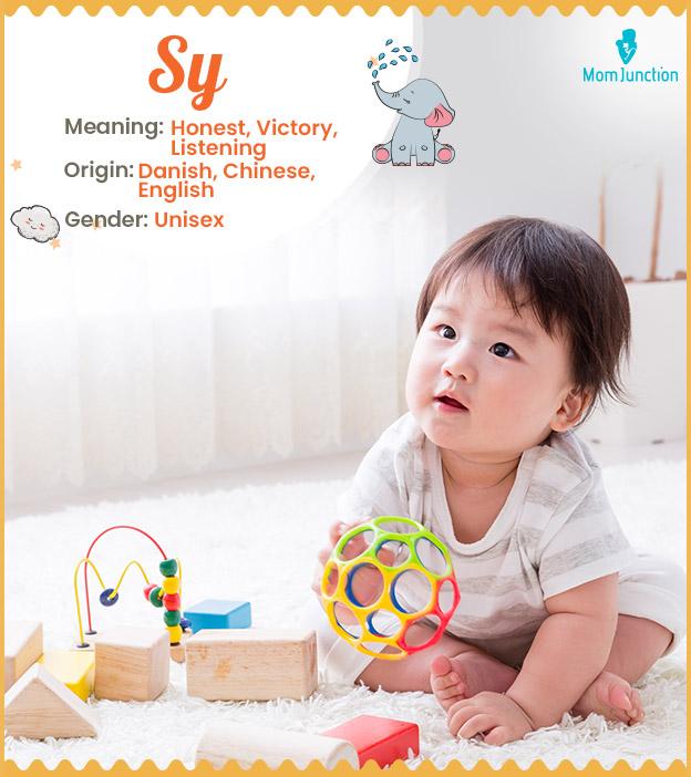 Sy Name Meaning, Origin, History, And Popularity
