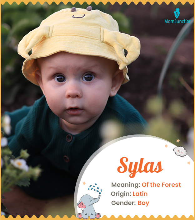 Sylas, meaning of the forest