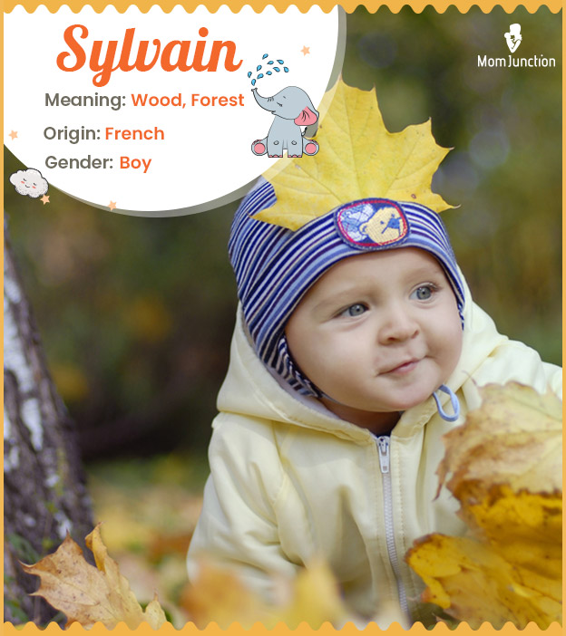 Sylvain means woods, forest