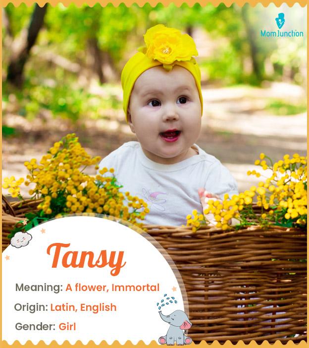 tansy Name Meaning, Origin, History, And Popularity MomJunction