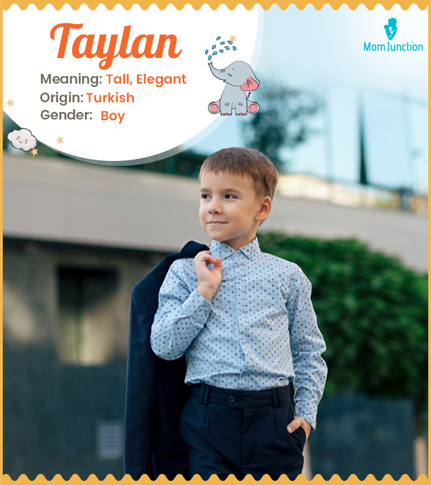 Taylan, one who is tall and graceful