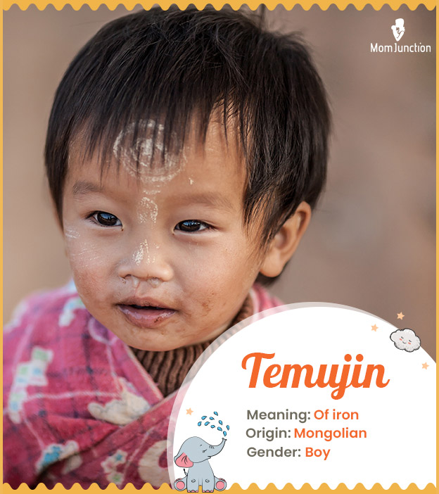 Temujin means of iron