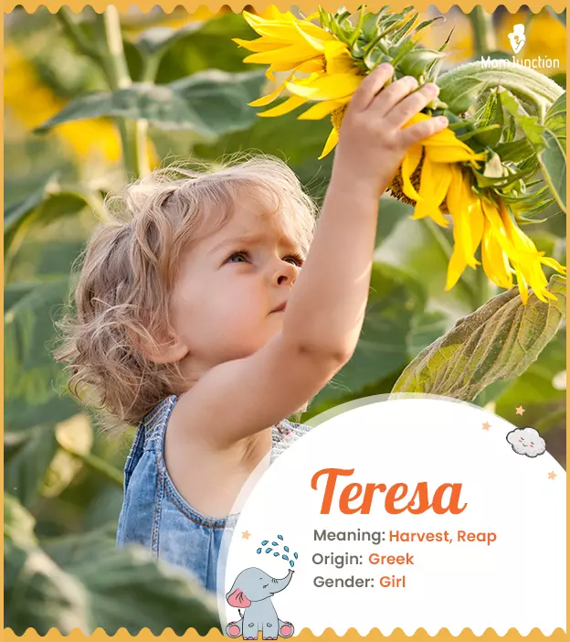 Teresa Name Meaning, Origin, History, And Popularity