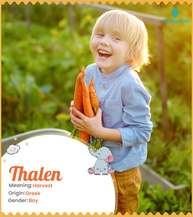 Thalen, symbolizing the joy of harvest