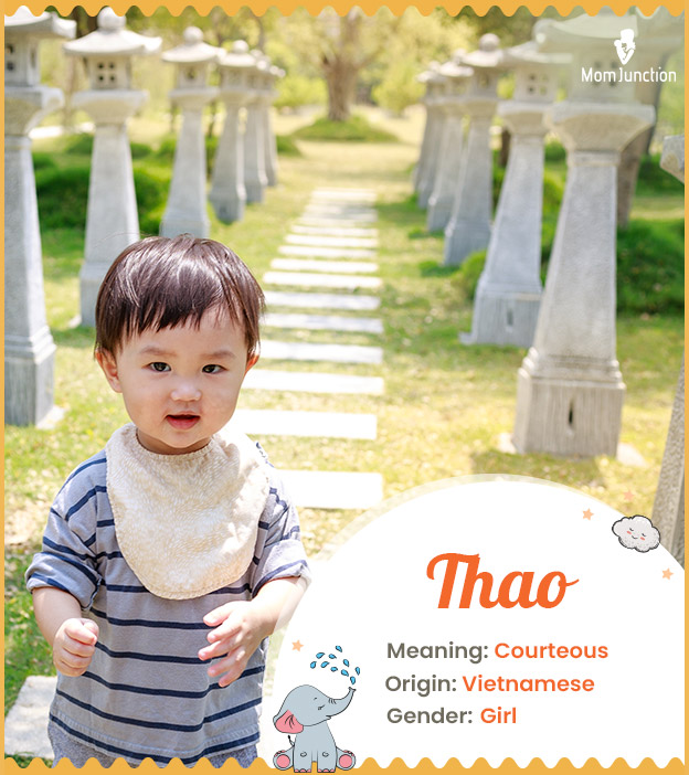 Thao meaning Courteous