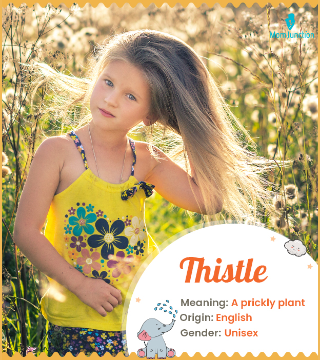 Thistle, a sweet name for boys and girls