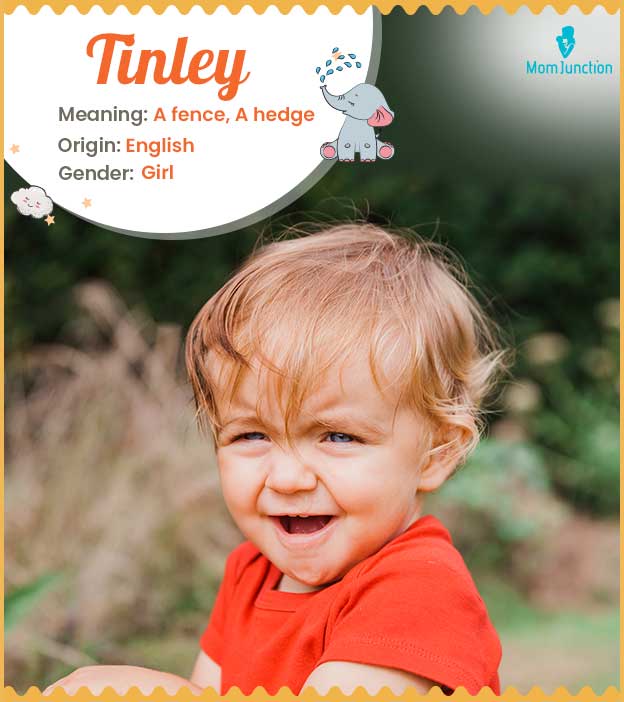 Tinley, meaning hedg