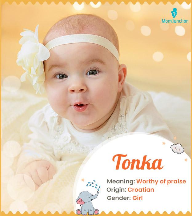 Tonka Meaning, Origin, History, And Popularity