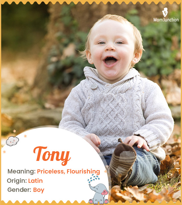 Tony, meaning priceless or flourishing
