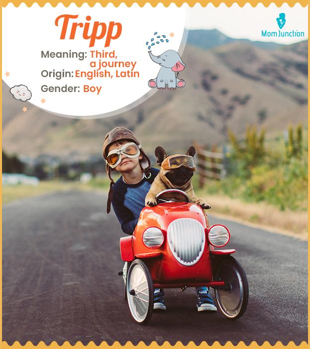 Tripp Name Meaning, Origin, History, And Popularity