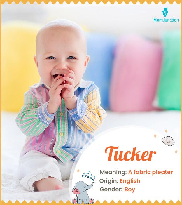 Tucker, an English occupational name