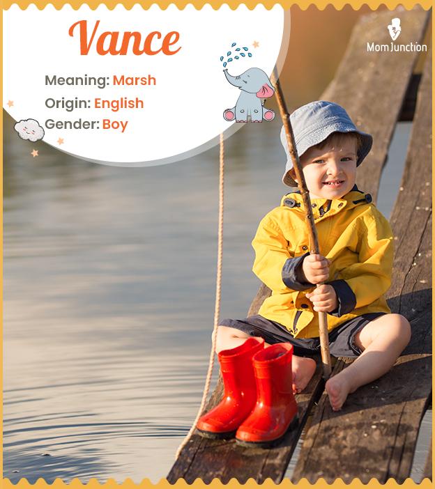 Vance Meaning, Origin, History, And Popularity