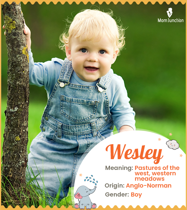 Wesley means western meadow