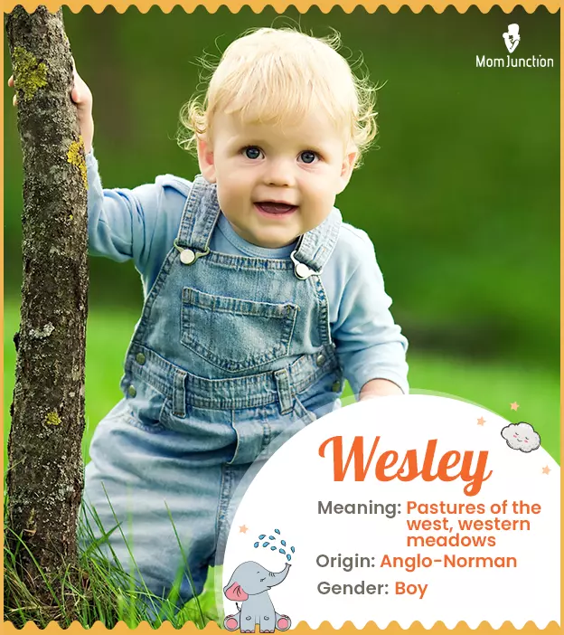 Wesley Meaning, Origin, History, And Popularity