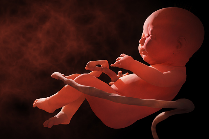 What Can A Baby Learn In A Womb