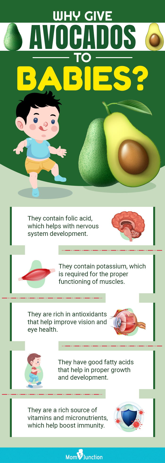 why give avocados to babies (infographic)