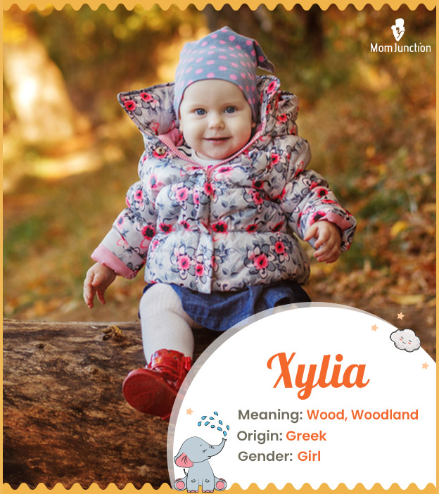 Xylia, a nature-inspired Greek name