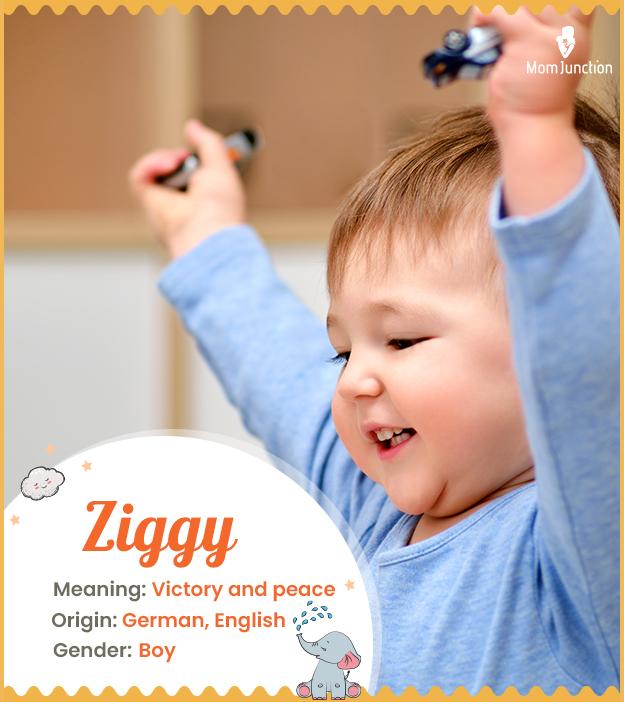 Ziggy Name Meaning, Origin, History, And Popularity