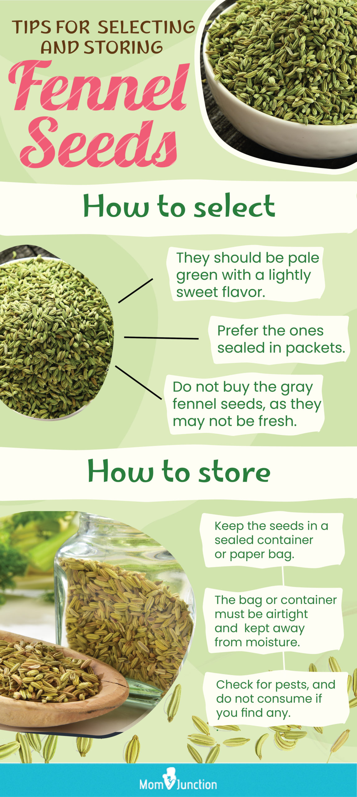 tips for selecting and storing fennel seeds (infographic)