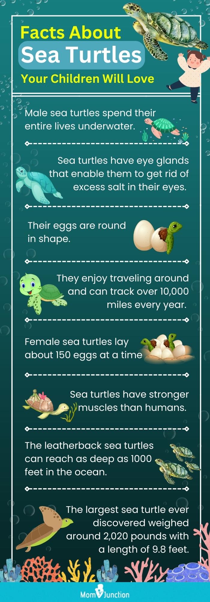 facts about sea turtles your children will love (infographic)
