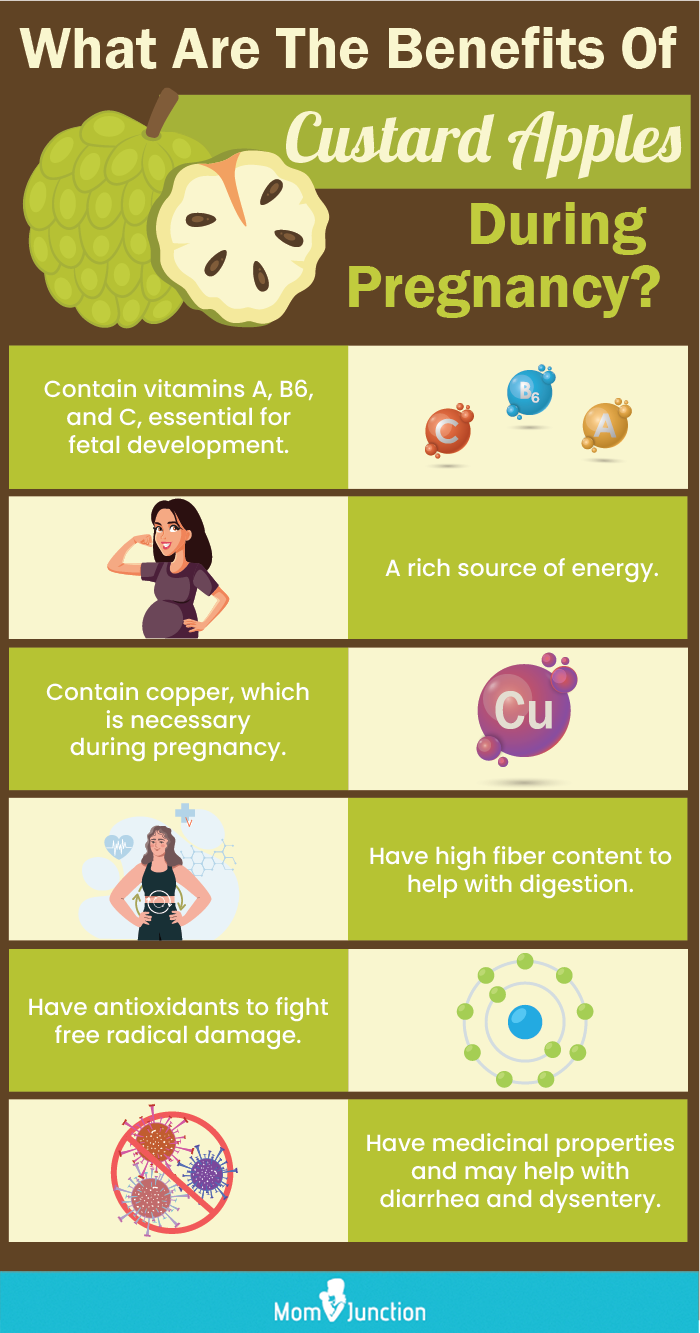 benefits of including custard apple in your pregnancy diet (infographic)