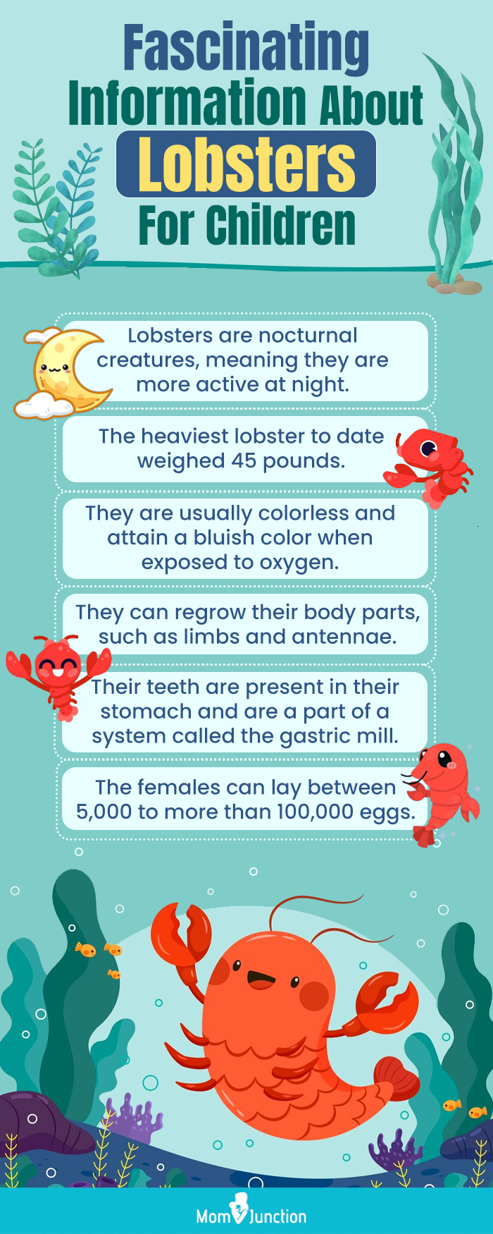 Interesting Lobster Facts For Kids