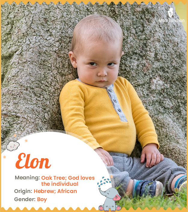 Elon meaning oak tree