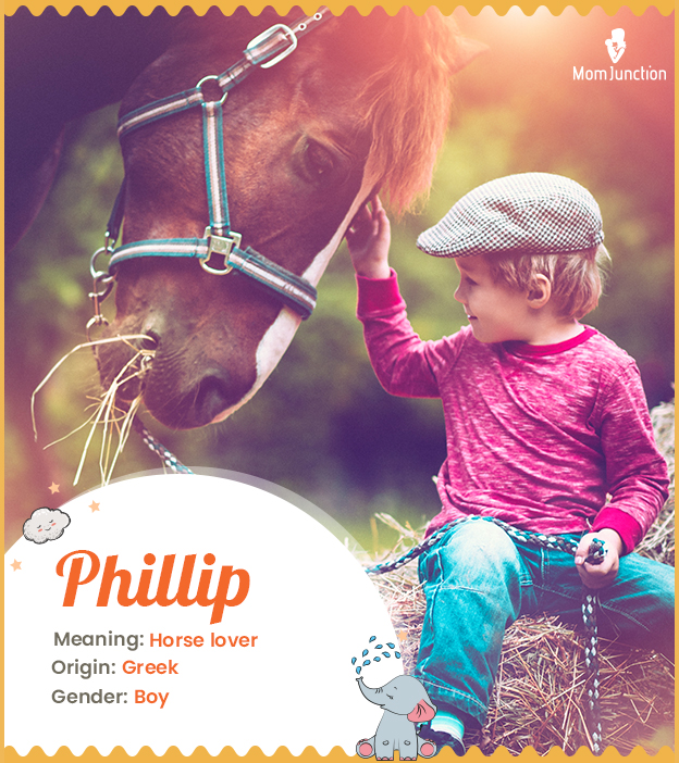 Phillip signifies a horse lover