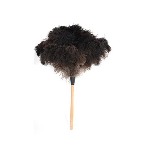 https://www.momjunction.com/wp-content/uploads/2023/03/Royal-Duster-Black-Ostrich-Feather-Duster.jpg