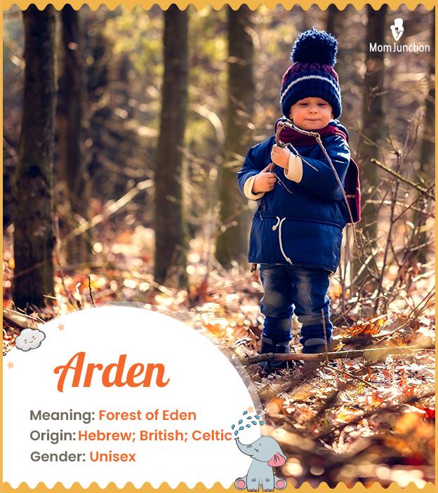Arden Name Meaning, Origin, History, and Popularity