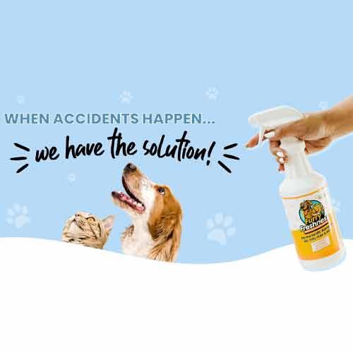 https://www.momjunction.com/wp-content/uploads/2023/04/FurryFreshness-Pet-Stain-Odor-Remover.jpg