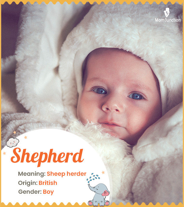 Shepherd, one who protects sheep.