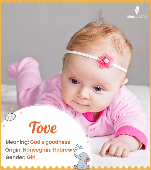 Tove Name Meaning, Origin, History, And Popularity | MomJunction