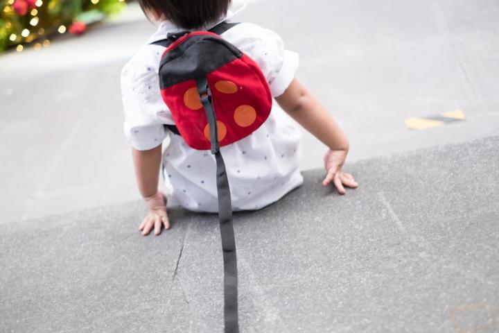 Child Leashes Hated So Much