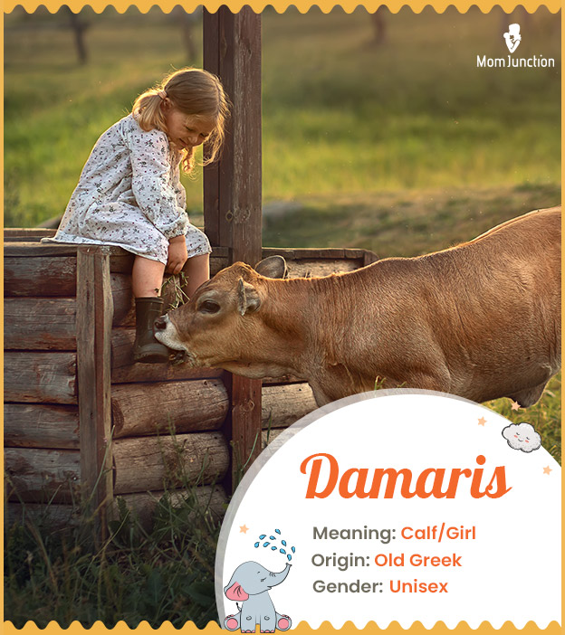 Damaris, meaning calf or girl