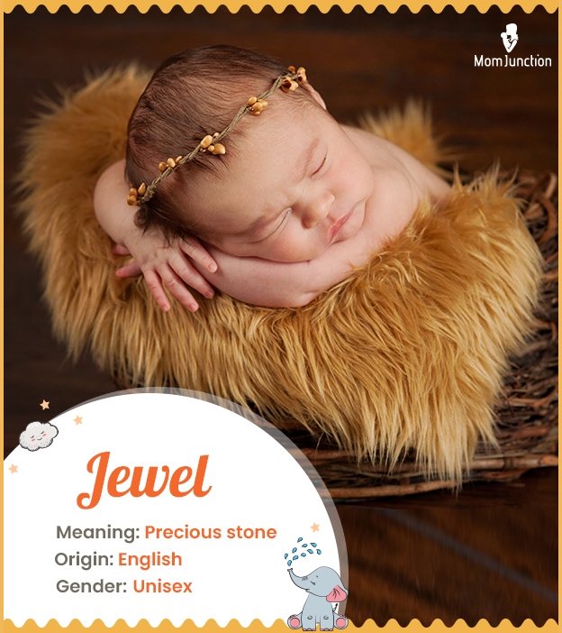 Jewel meaning precious stone