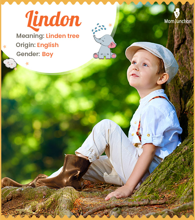 Lindon means linden tree