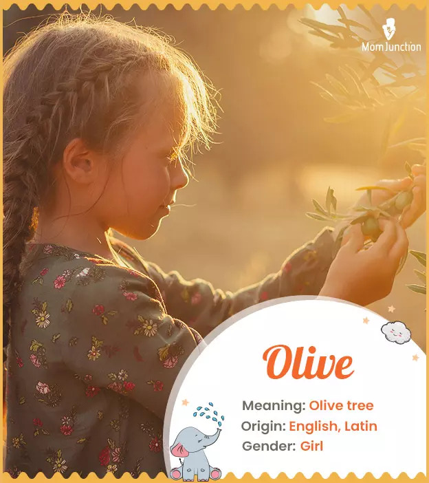 Oliver's meaning -- olive tree -- symbolizes peace and