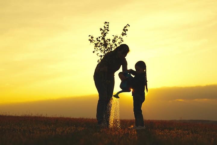 Plant A Tree Or Flowering Bush