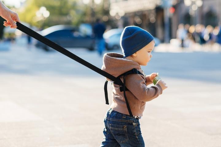 What Are Child Leashes