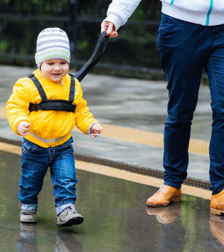 What Makes Child Leashes A Controversial