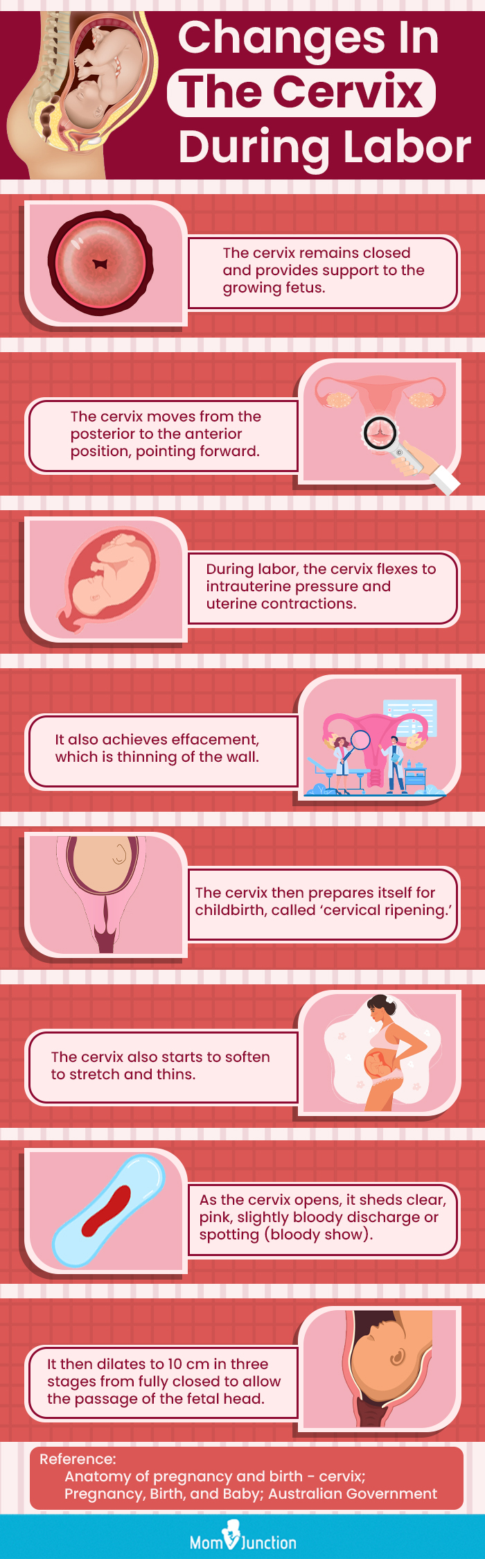8 Cervix Changes During Birth or Labor And Complications