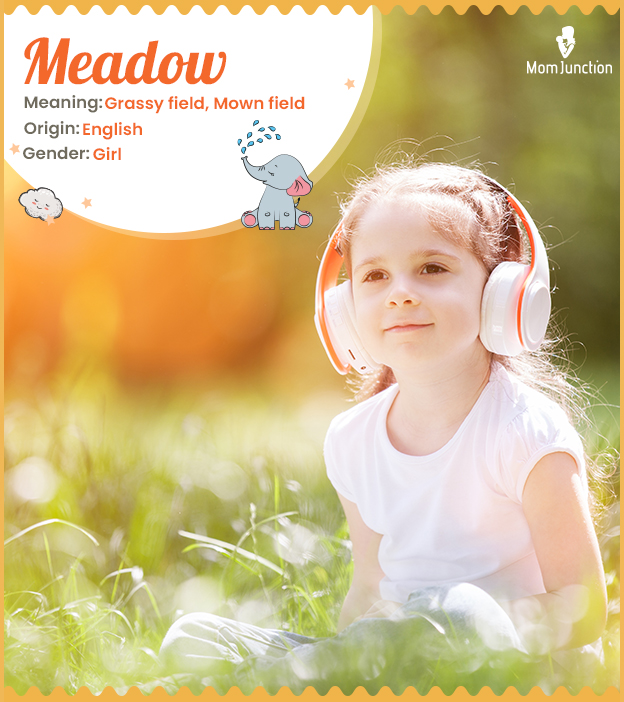 Meadow means grassy or mown field